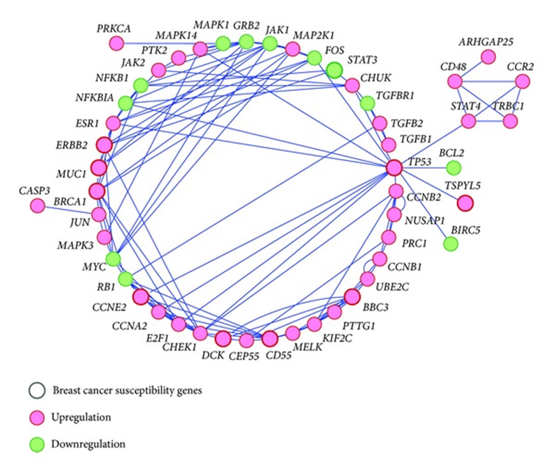 【佳学基因检测